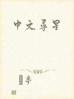 中文寻星