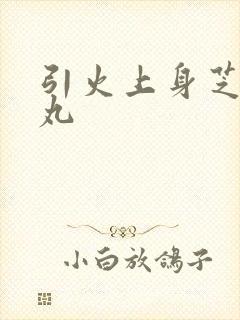 引火上身芝麻糖丸