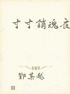 寸寸销魂夜春光