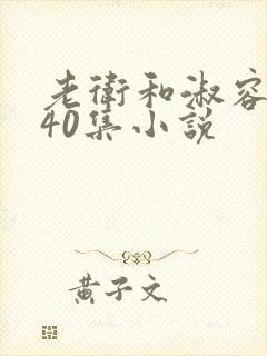 老卫和淑容1-40集小说