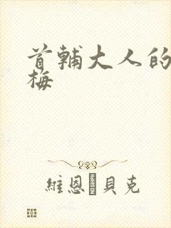 首辅大人的小青梅