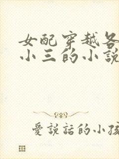 女配穿越各个做小三的小说