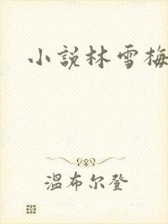 小说林雪梅
