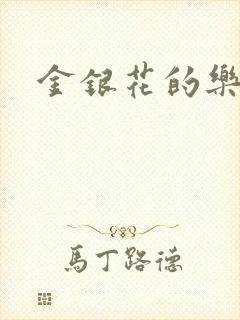 金银花的乐可封面