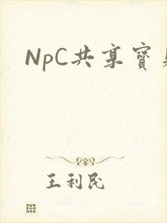 NpC共享宝贝