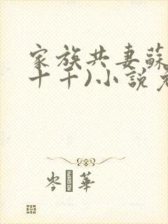 家族共妻苏苏(十千)小说免费