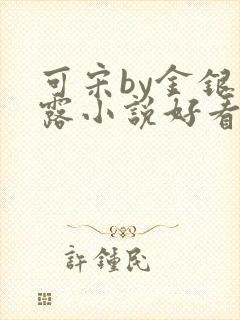 可宋by金银花露小说好看吗