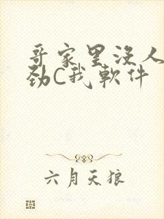 哥家里没人使点劲C我软件