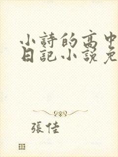 小诗的高中成长日记小说免费阅读