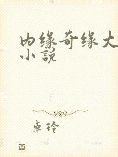 内缘奇缘大团圆小说封面