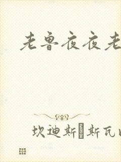 老鲁夜夜老鲁