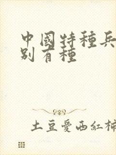 中国特种兵之特别有种