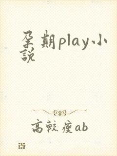 孕期play小说