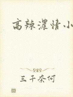 高辣浓情小说