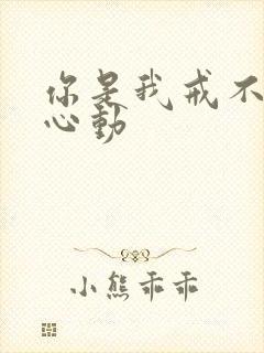 你是我戒不掉的心动