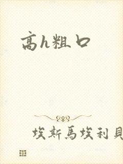 高h粗口