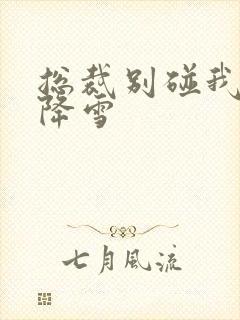 总裁别碰我 韩降雪