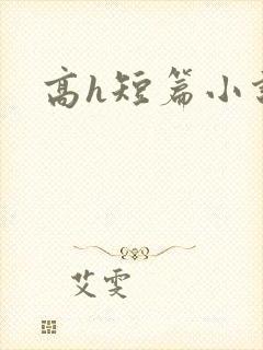 高h短篇小说