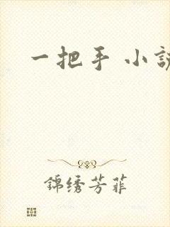 一把手 小说