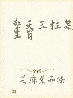 擎天玉柱是什么生肖