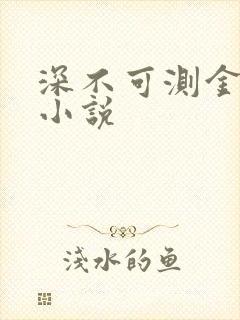 深不可测金银花小说