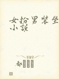 女扮男装坐江山小说