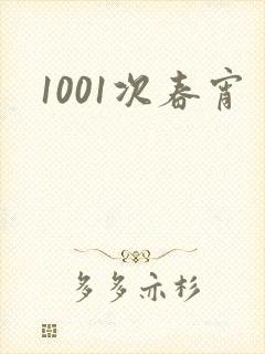 1001次春宵封面