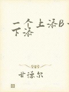 一个上添B一个下添