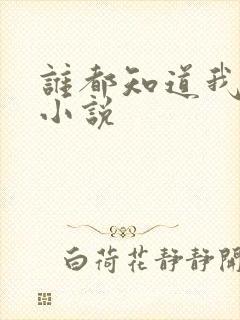 谁都知道我爱你小说