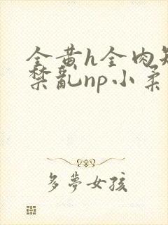 全黄h全肉短篇禁乱np小柔
