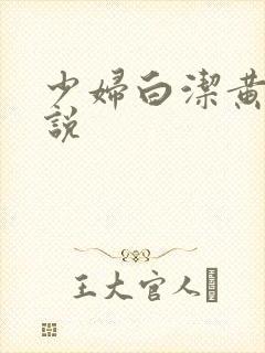 少妇白洁黄色小说