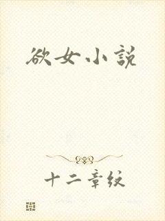 欲女小说封面