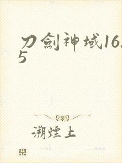 刀剑神域16.5
