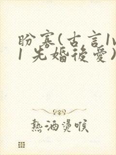 盼寡(古言1v1 先婚后爱)