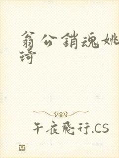 翁公销魂姚瑶琦琦