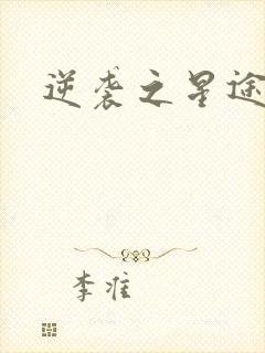 《逆袭之星途闪耀》小说封面