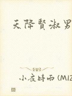 天降贤淑男小说