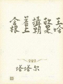 含着摄政王的紫根上朝是啥小说