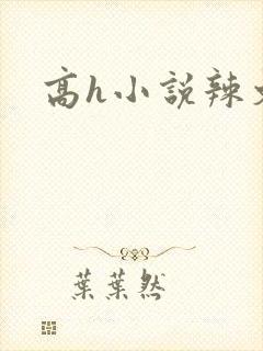 高h小说辣文
