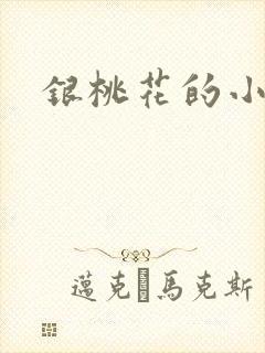 银桃花的小说