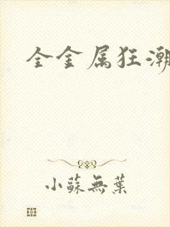 全金属狂潮小说