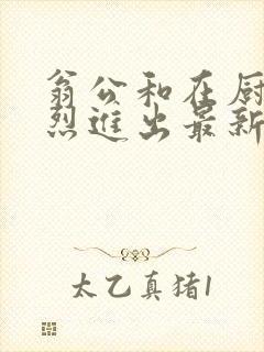 翁公和在厨房猛烈进出最新章节