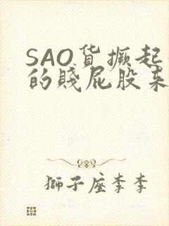 SAO货撅起你的贱屁股来