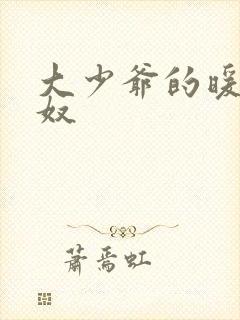 大少爷的暖床小奴