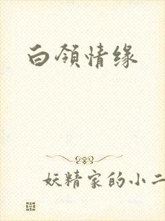 白领情缘
