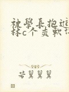 被学长抱进小树林c个爽软件