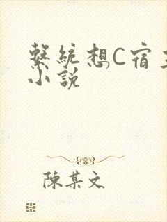 系统想C宿主的小说