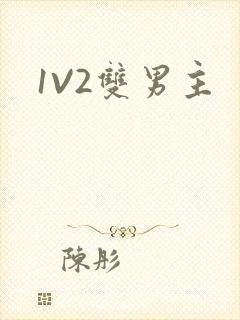 1V2双男主
