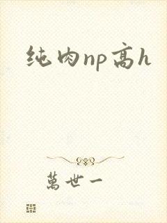纯肉np高h