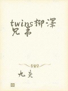 twins柳泽兄弟